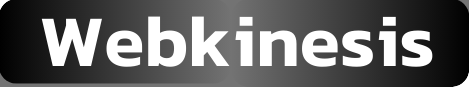 WEBKINESIS LOGO